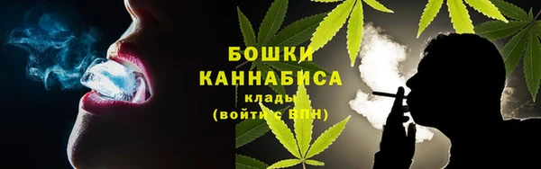 дживик Гусиноозёрск