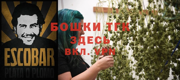 дживик Гусиноозёрск