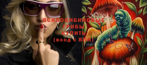дживик Гусиноозёрск
