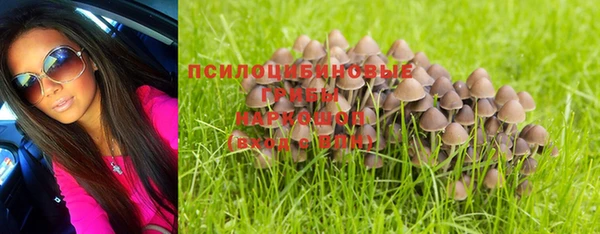 винт Новодвинск