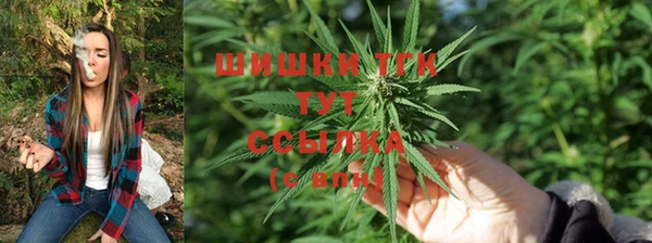винт Новодвинск
