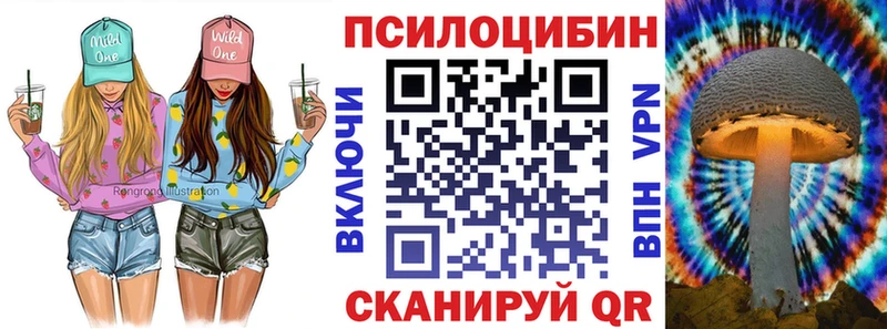 где купить   Оха  Галлюциногенные грибы Psilocybe 